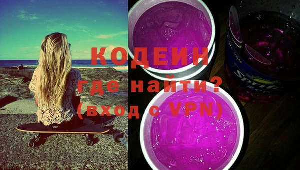 ГАЛЛЮЦИНОГЕННЫЕ ГРИБЫ Гусь-Хрустальный