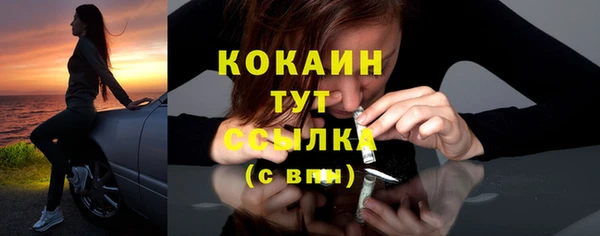 ГАЛЛЮЦИНОГЕННЫЕ ГРИБЫ Гусь-Хрустальный