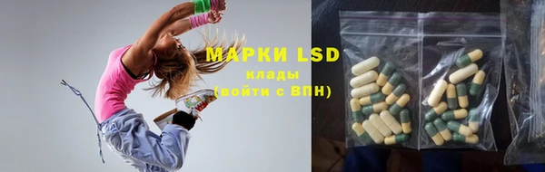 ГАЛЛЮЦИНОГЕННЫЕ ГРИБЫ Гусь-Хрустальный