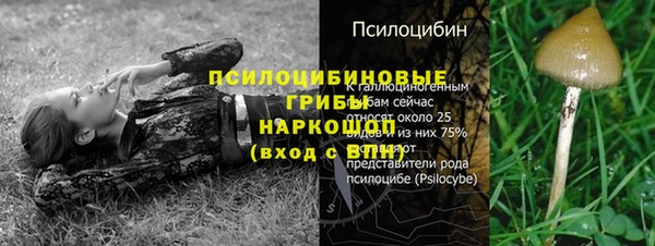 ГАЛЛЮЦИНОГЕННЫЕ ГРИБЫ Гусь-Хрустальный